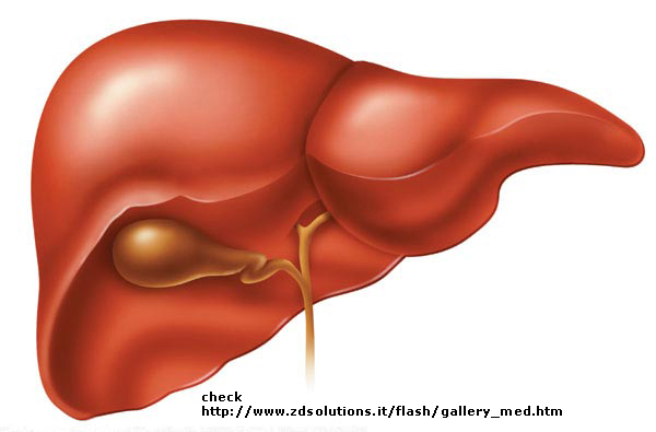 Curry Ingredient May Slow Liver Disease: Study