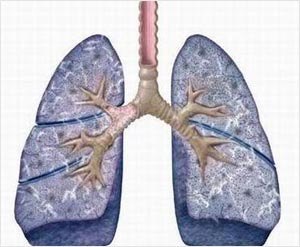 Braking too hard could cause lung damage
