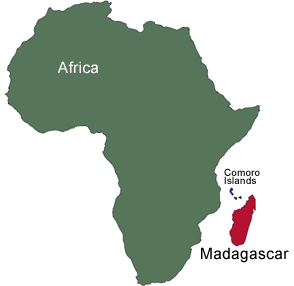 Several dead as soldiers fire at demos in Madagascar: reports