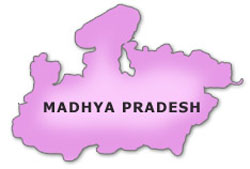 Eight students, teacher die in Madhya Pradesh accident