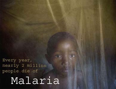 about malaria