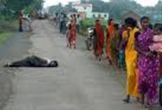 Maoists kill CPM supporters in Bengal