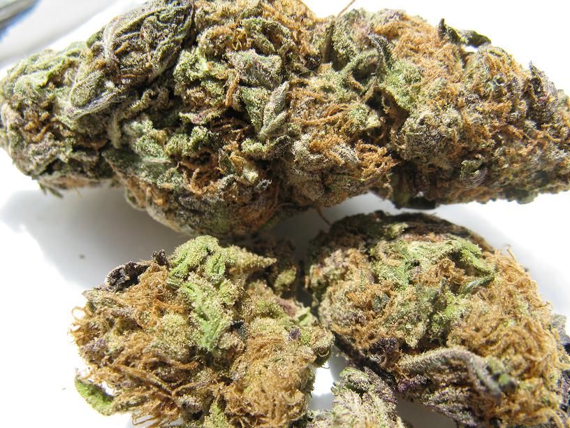 Man Caught Carrying a Large Amount of Marijuana