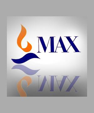 Max India Q4 loss at Rs 2.3 crore