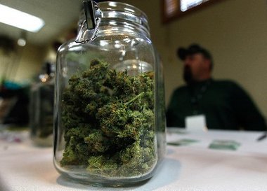 Medical marijuana growers get warning to do away with pot or face action