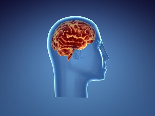  Men with regular features less prone to mental decline in old age
