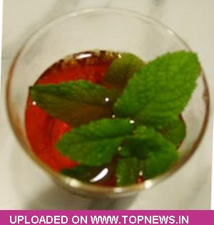 Mentha Oil