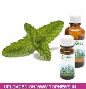 Mentha-Oil