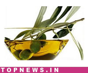 Mentha oil