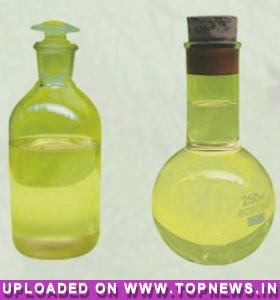 Mentha oil