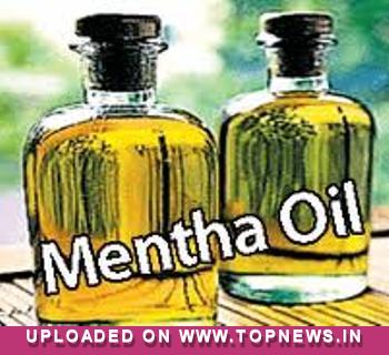 Mentha Oil