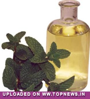 Mentha oil