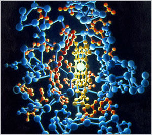 Scientists inadvertently discover bowl-shaped molecule that pulls CO2 from air