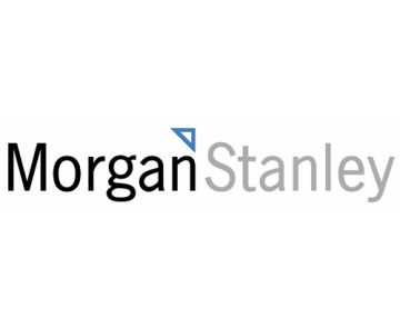 Morgan Stanley advises investors to “avoid” public sector lenders