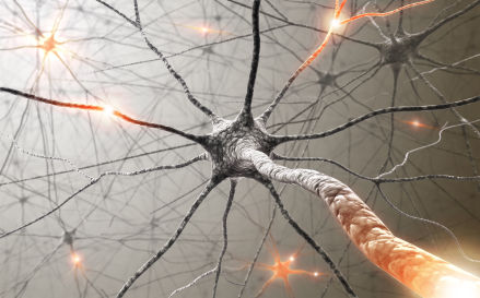 Multiple-sclerosis