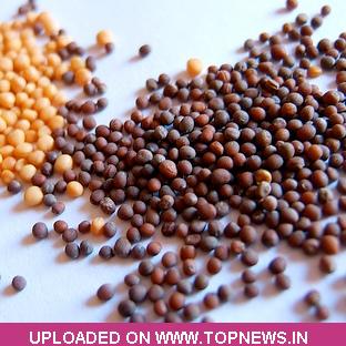 Commodity Trading Tips for Mustardseed by KediaCommodity
