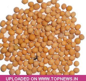 Commodity Trading Tips for Mustardseed by Kedia Commodity