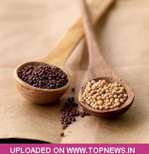 topnews.in