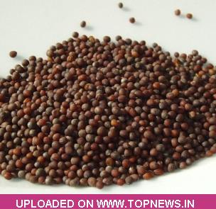 Commodity Trading Tips for Mustardseed by KediaCommodity