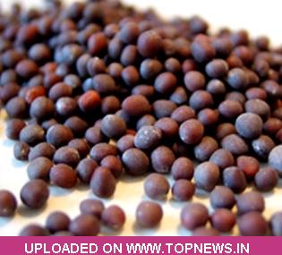 Mustard Seed