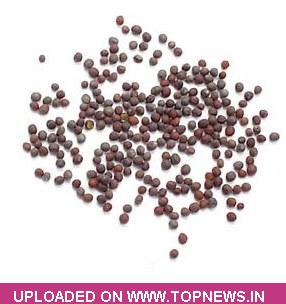 Mustard Seed