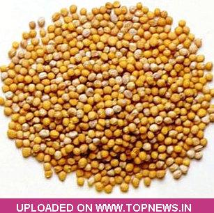 Mustard Seed