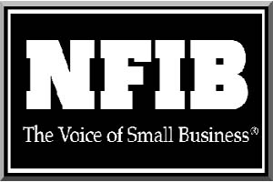 National Federation of Independent Businesses to also challenge healthcare law