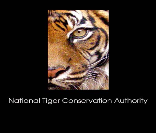 National Tiger Conservation Authority