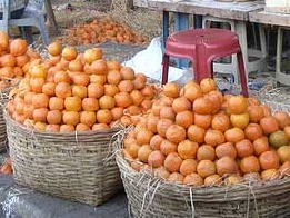 Hot weather conditions reduce Nagpur''s orange yield