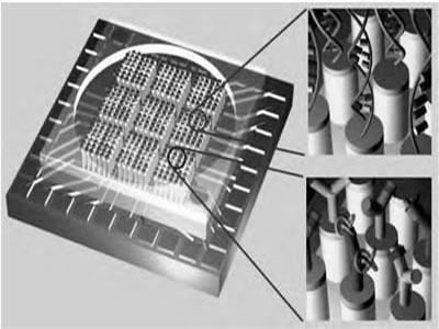 Researchers develop nanosensor monitors cellular interactions in real-time