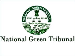 Anybody dumping debris in Yamuna will be fined Rs 5 lakh: NGT