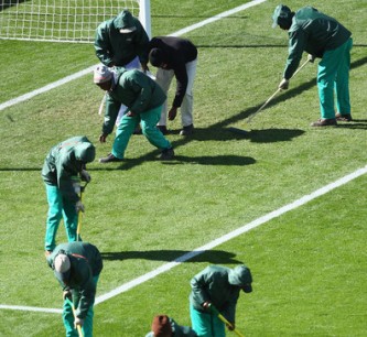 Natural or Artificial pitch at FIFA 2010