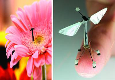 Nature-inspired-flying-drones