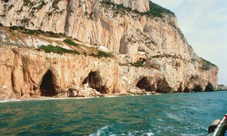 Sea mammals constituted the main diet of Neanderthals 
