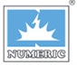 Numeric Power Systems