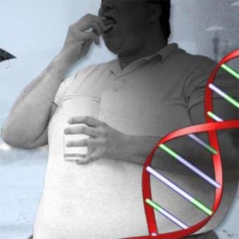 Obesity linked to carb breakdown gene