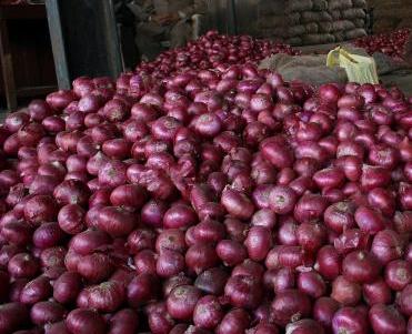 Onion prices start showing signs of easing 