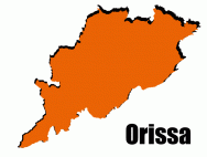 Orissa police seize 96 turtles, arrest one