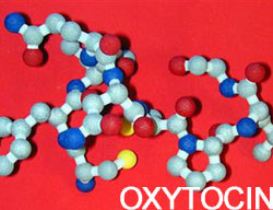 Love hormone Oxytocin also bolsters envy