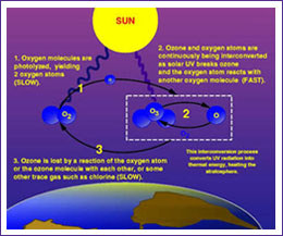 New fluorescent solution detect harmful ozone in air and body