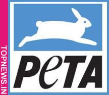Peta under fire over ''putting down animals'' claims