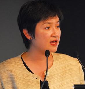 Renewable energy scheme split by Penny Wong