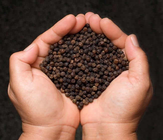 Commodity Outlook for Pepper  by KediaCommodity