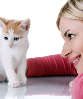 Pet-Name