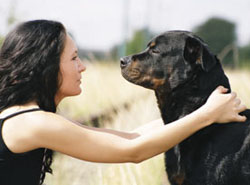 Pets can help patients minimise medication