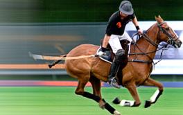 PBG-Jindal bags Amity Polo Cup Finals 2009 in Delhi