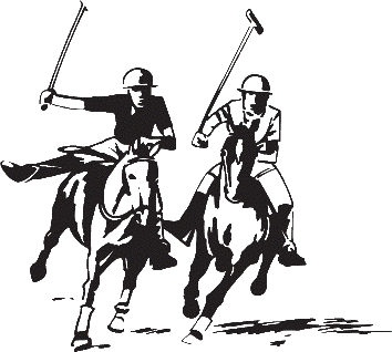 Beach polo enthralls audience in Goa