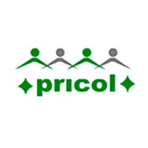 Intraday Buy Call For Pricol