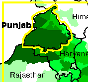 NRI family lands in Punjab jail, hours after marriage