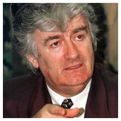 Bosnia war could have been avoided: Karadzic